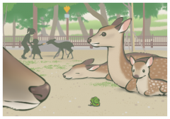 Dʲô˼DռIp˵Ȧ