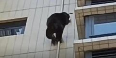 V|?ЇɆ